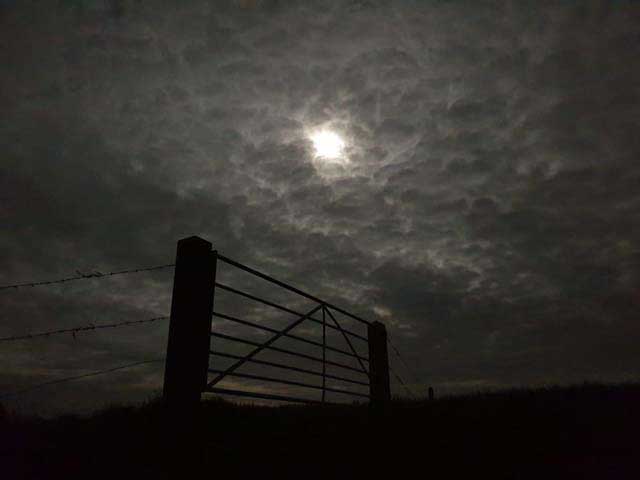 Under the moon